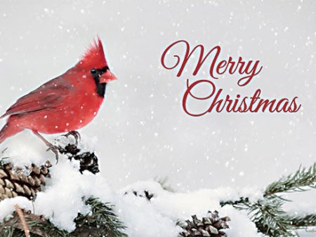 LD2714 - Merry Christmas Cardinal - 18x12 For Cheap