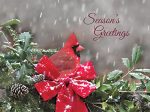 LD3068 - Season s Greetings Cardinal - 16x12 For Cheap