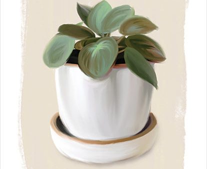 FEN693 - House Plant II - 12x16 For Discount