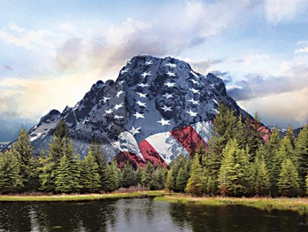 LD2922 - Patriotic Tetons   - 18x12 For Sale